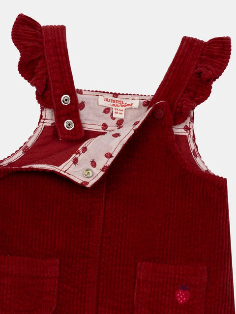 Lined Brick Red Velour Dress
