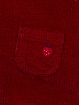 Lined Brick Red Velour Dress