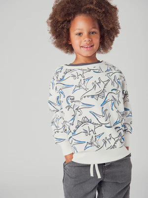 Off White Dinosaur Print Cotton Sweatshirt
