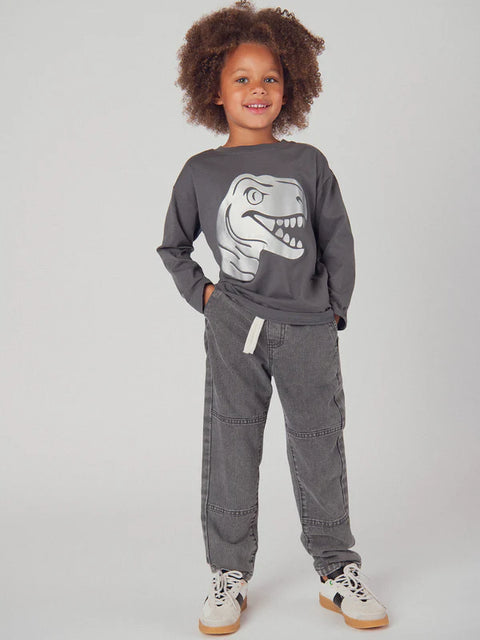 Grey Dinosaur Print Cotton T-shirt