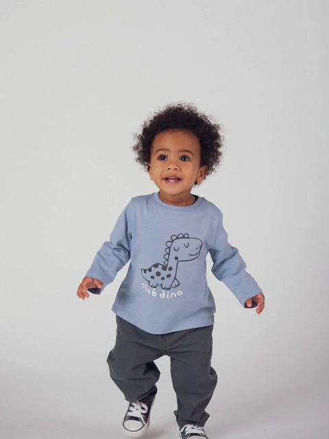 Blue Dinosaur Print Cotton T-shirt