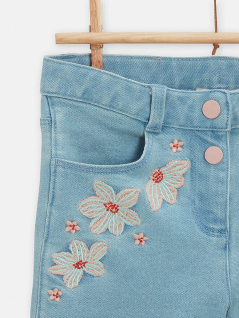 Lined Floral Embroidered Denim Shorts