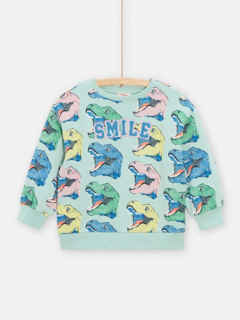 Dinosaur Print Cotton Sweatshirt