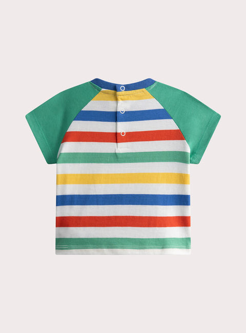 Green Striped Cotton T-shirt