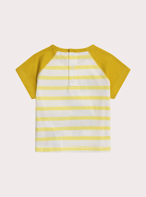 Yellow Zebra Stripe Animation Cotton T-shirt