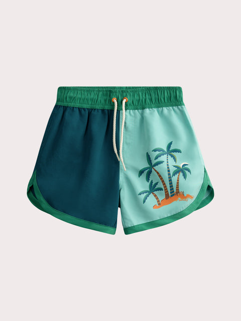 Lined Blue & Green Swim Shorts