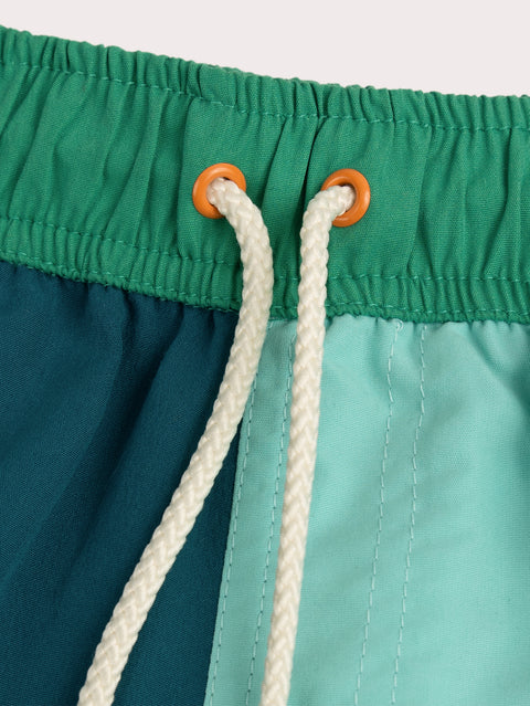 Lined Blue & Green Swim Shorts