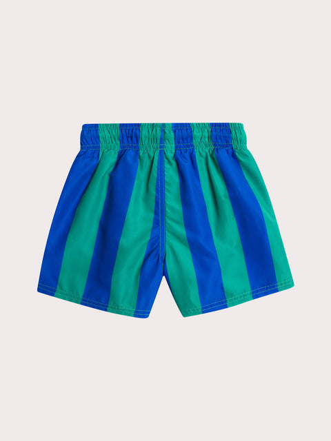 Lined Green & Blue Stripe Swim Shorts