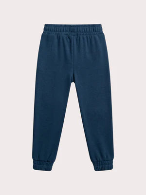Turquoise Embroidered Cotton Fleece Joggers