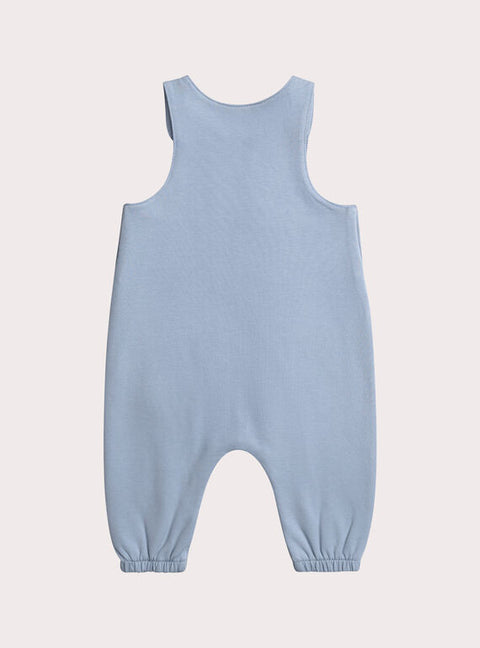 Newborn Blue Cotton Dungarees