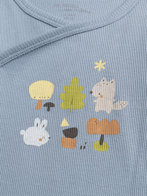 2 Pack Newborn Cotton Bodysuits