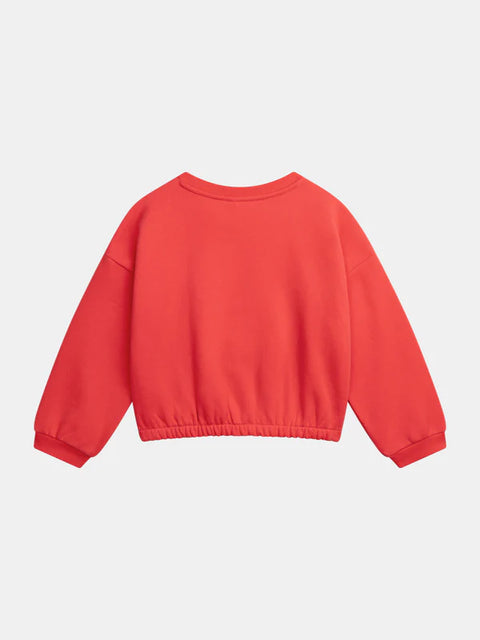Red Cotton Fleece Sweatshirt With Dog Animation