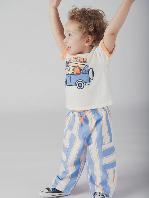 Blue Stripe Cotton Twill Trousers