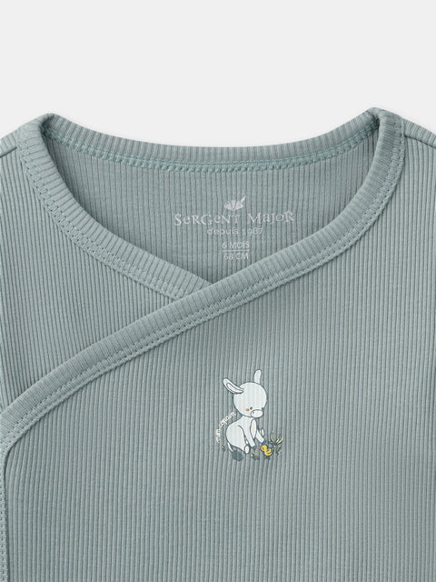 2 Pack Newborn Cotton Bodysuits