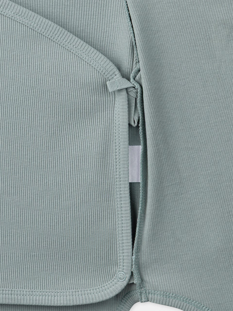 2 Pack Newborn Cotton Bodysuits