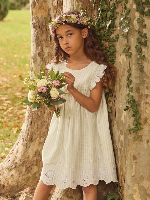 Lined Green Stripe Cotton Dress