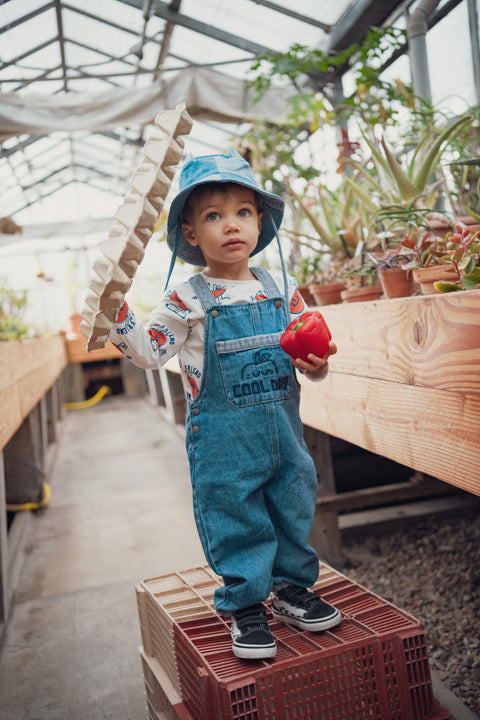 Blue Denim Dungarees
