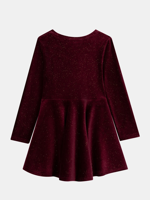 Prune Glitter Velour Skater Dress