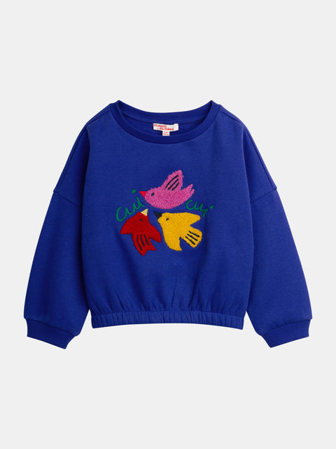 Blue Embroidered Cotton Fleece Sweatshirt