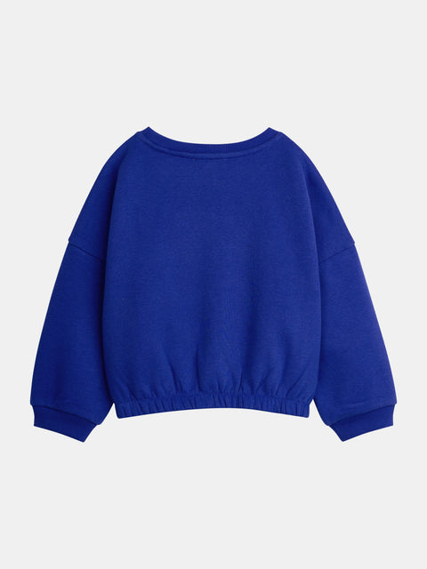 Blue Embroidered Cotton Fleece Sweatshirt