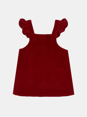 Lined Brick Red Velour Dress