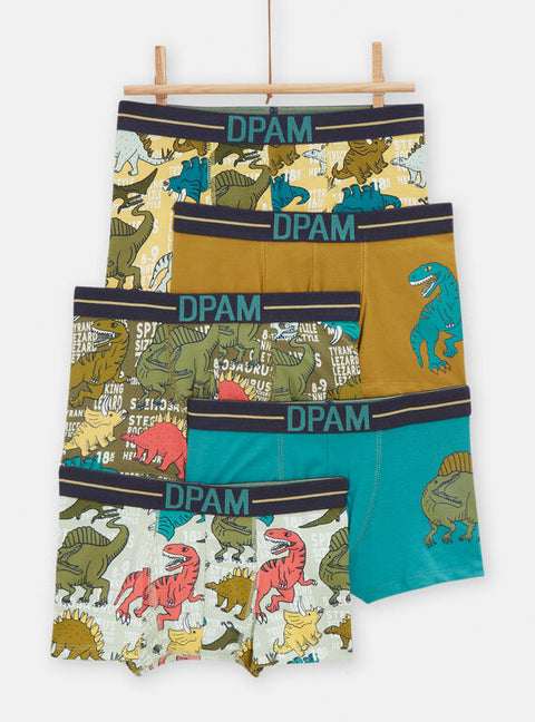 5 Piece Dinosaur Print Cotton Boxer Shorts
