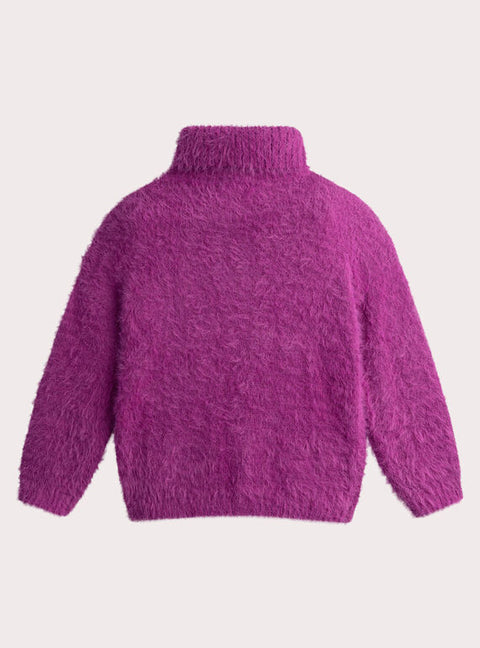 Purple Owl Animation Jumper