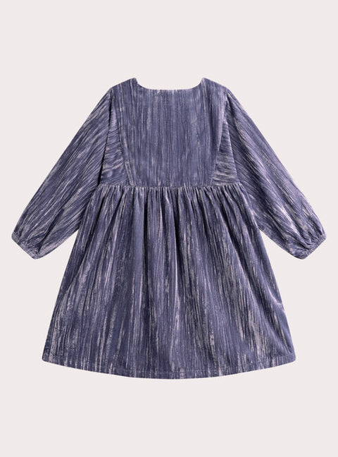 Embroidered Purple Crushed Velour Dress