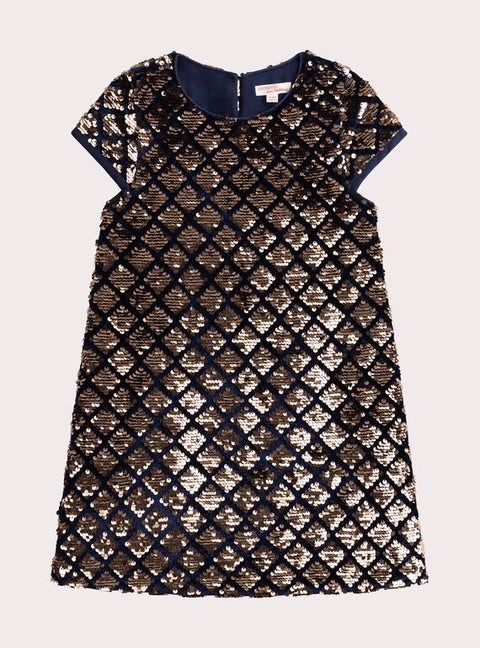 Navy Sequined Velvet Dress