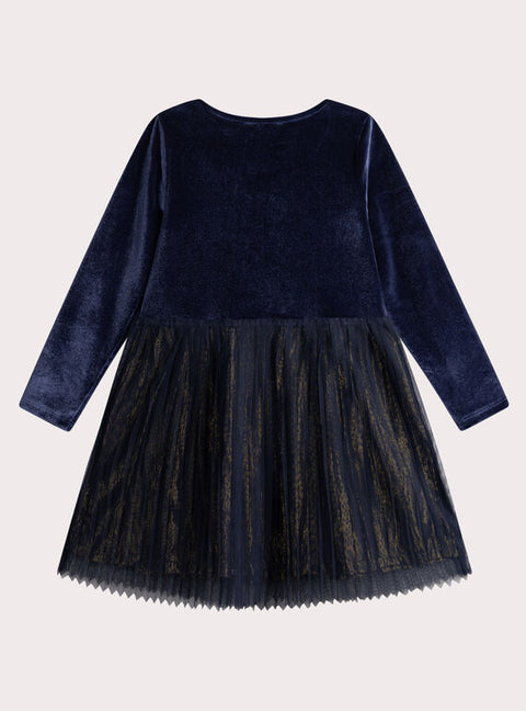 Navy Velour Dress With Tulle Skirt