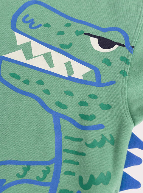 Green Dinosaur Animation Hooded Cotton Rich Sweatshirt