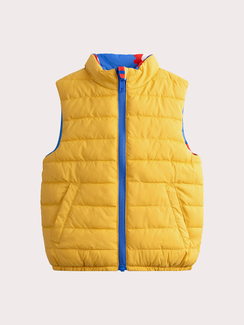 Reversible Blue Gilet