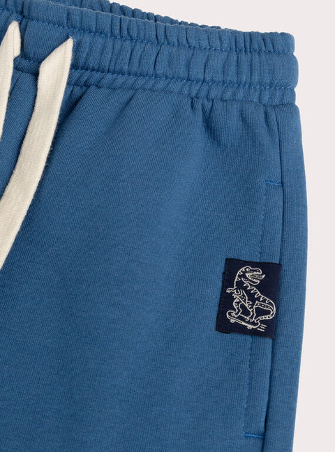 Blue Cotton fleece Joggers