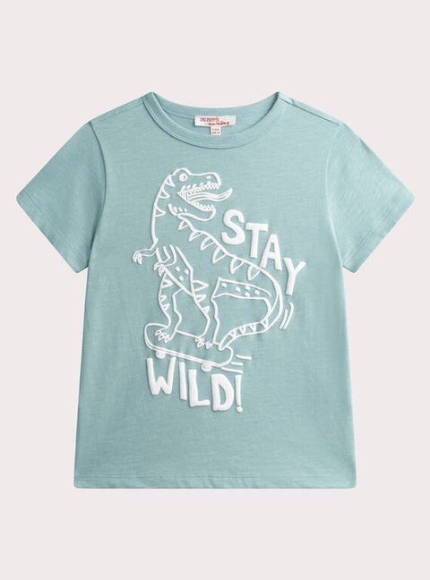 Green Dinosaur Print Short Sleeve Cotton T-shirt