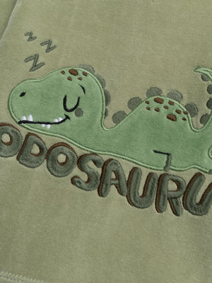 Green Dinosaur Animation Velour Pyjamas
