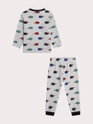 Grey Velour Hedgehog Animation Pyjamas
