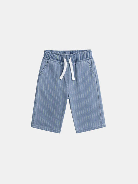 Striped Blue Denim Trousers