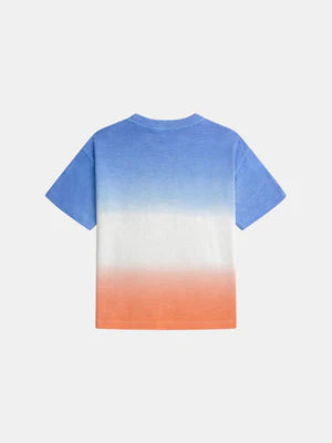 Blue Tye Dye Cotton T-shirt